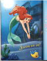 Fairy Tale Momments Poster Book - disney-princess photo