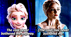  アナと雪の女王 and Once Upon a Time Parallels