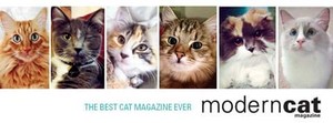  Modern Cat Magazine.