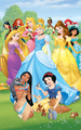 New Disney Princess Poster - disney-princess photo
