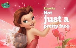 Rosetta (Not just a pretty face)