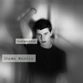 Shawn Mendes  - shawn-mendes fan art