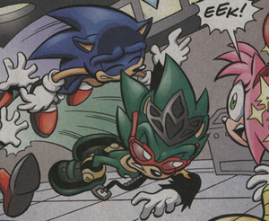 Sonic and Scourge