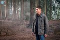 Supernatural - Episode 10.19 - The Werther Project - Promo Pics - supernatural photo