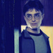 The Halfblood Prince - fred-and-hermie icon