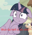 Twilight Meme - my-little-pony-friendship-is-magic photo