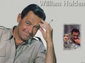classic-movies - William Holden wallpaper
