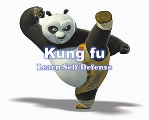 quotes about kung fu