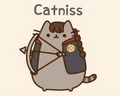     Catniss      - the-hunger-games fan art