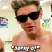                          Niall - one-direction icon