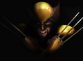               Wolverine - x-men photo