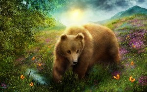 Bear            