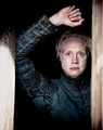 Brienne of Tarth - game-of-thrones fan art