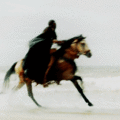 Ellaria Sand - game-of-thrones fan art
