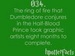 Harry Potter Fact 34 - harry-potter icon