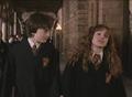 Harry - harry-and-hermione photo