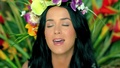 Katy Perry- Roar {HD} - katy-perry photo