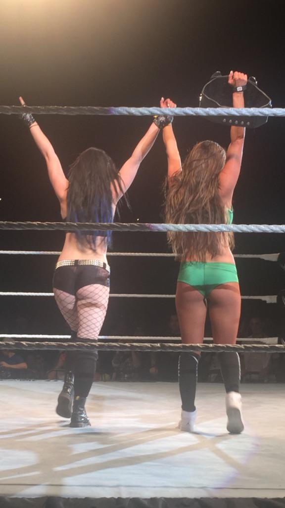 Paige and nikki bella 10 Things