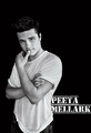 Peeta Mellark - the-hunger-games fan art