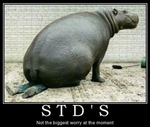  STD's