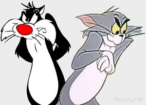  Sylvester and Tom Standing Side-by-Side