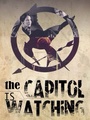 The Capitol is Watching - the-hunger-games fan art