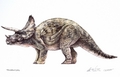 Triceratops - jurassic-park photo