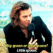                    Harry - one-direction icon
