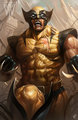            Wolverine - x-men photo