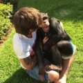 A reunion with an old friend - louis-tomlinson photo