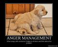 Anger management..... - random photo