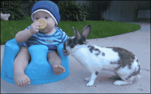 Baby and Bunny 