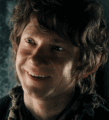 Bilbo/Thorin - the-hobbit photo