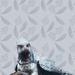Buckbeak          - harry-potter icon