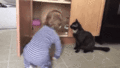 Cat closes cabinet door on baby 1 - random fan art