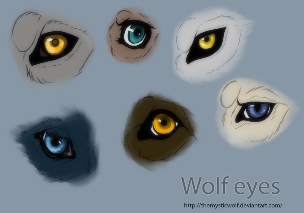 Different kinds of wolf eyes - Lunalparamor Photo (38519266) - Fanpop