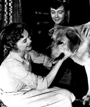 Dorothy McGuire and Tommy Kirk in Old Yeller