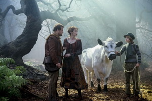  Into The Woods (2014)