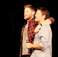 Jensen and Misha Collins - jensen-ackles photo