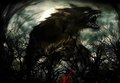 Loups-Garous - werewolves photo