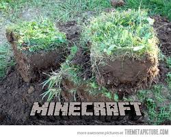  Minecraft DIRT REAL LIFE