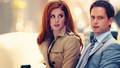 Mike and Donna - suits wallpaper