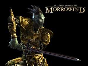  Nerevarine वॉलपेपर (Elder Scrolls 3 Morrowind)