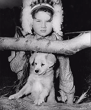  Old Yeller - Behind the Scenes - Kevin Corcoran