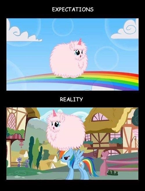 Pink fluffy unicorns dancing on rainbows