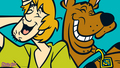 scooby-doo - Scooby And Shaggy wallpaper