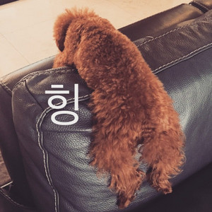  Sooyoung Instagram Update