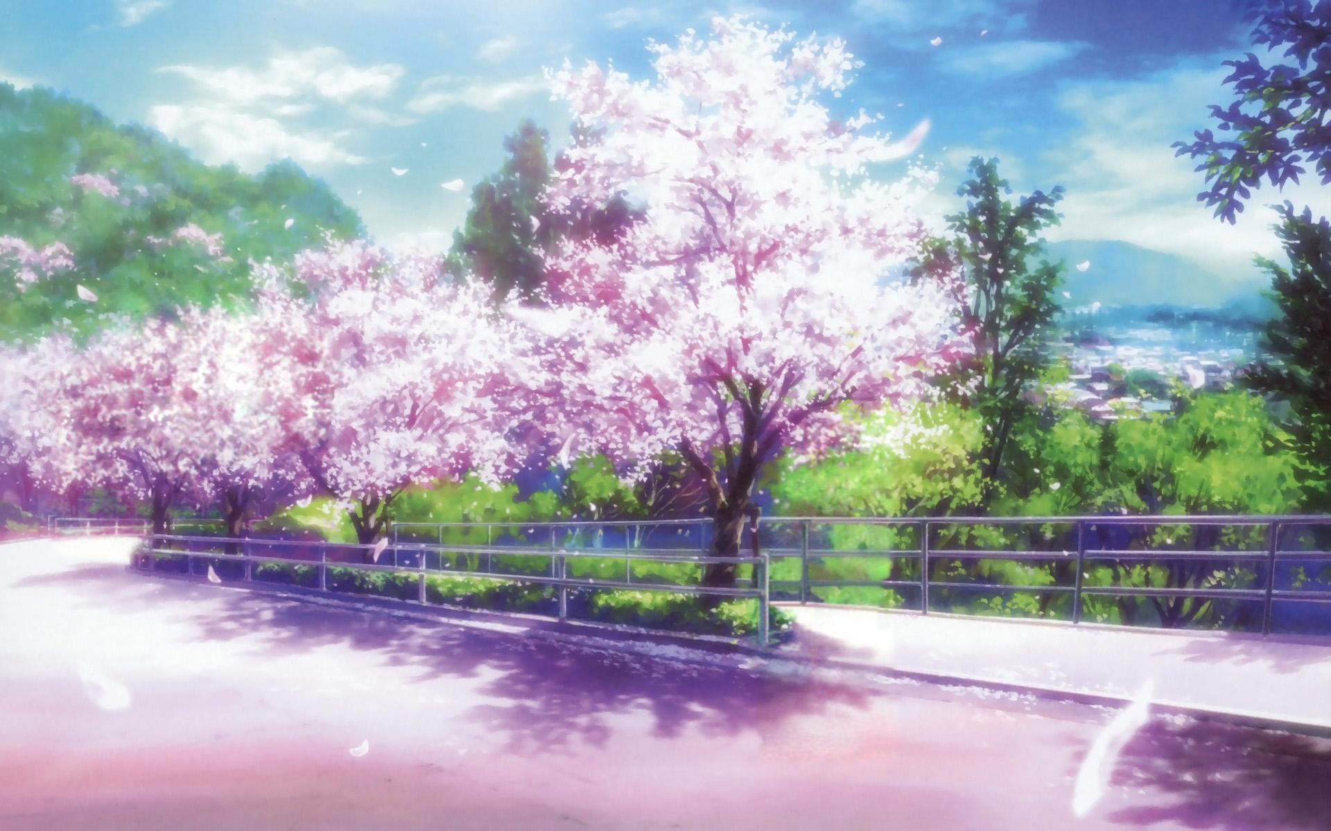 cherry blossoms - Anime Wallpaper (38559300) - Fanpop