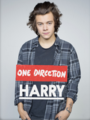                Harry Styles - harry-styles photo