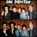2016 Official 18-Month Calendars - one-direction photo